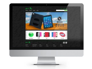 Gecko Gear | Digital&nbsp;Design